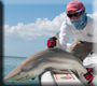 Shark Fishing Key West