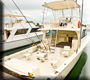 Splits or shared charter fishing Key West
