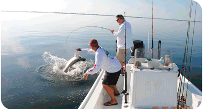 Tarpon fishing Florida Keys