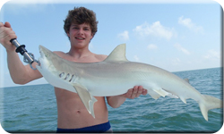 Islamorada Shark Fishing Photos