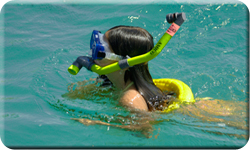 Snorkeling and Fishing Key Largo and Islamorada